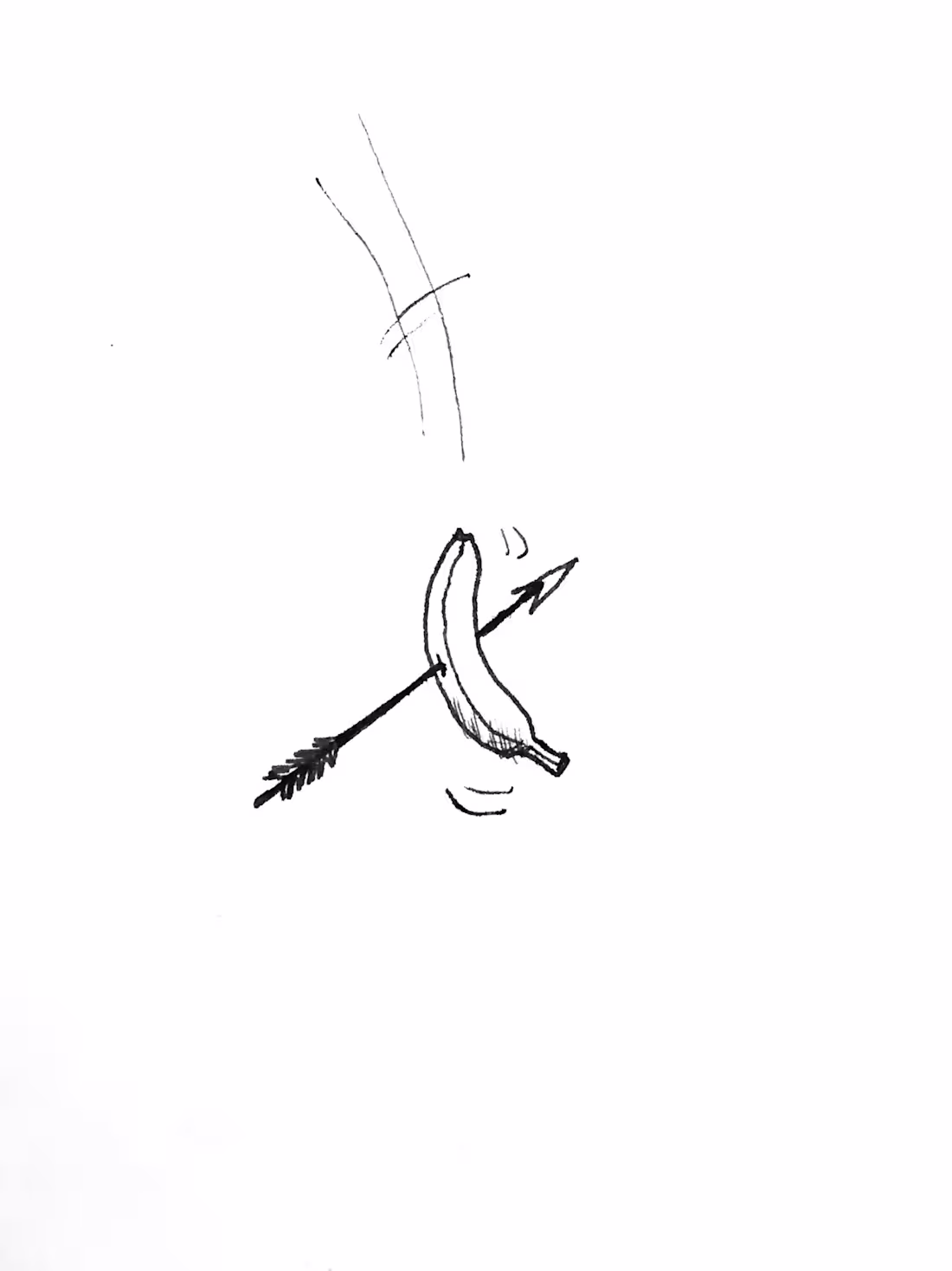 Cover image for Untitled