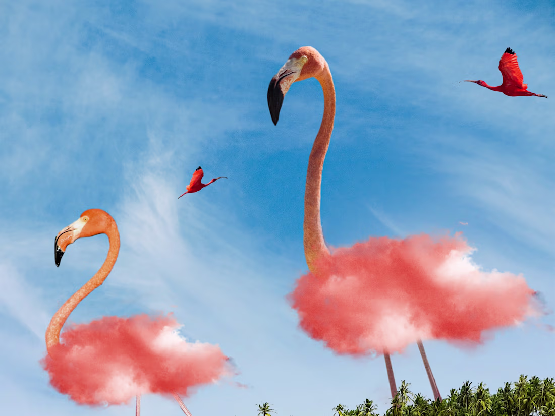 Cover image for PHOTOSHOP WORK
