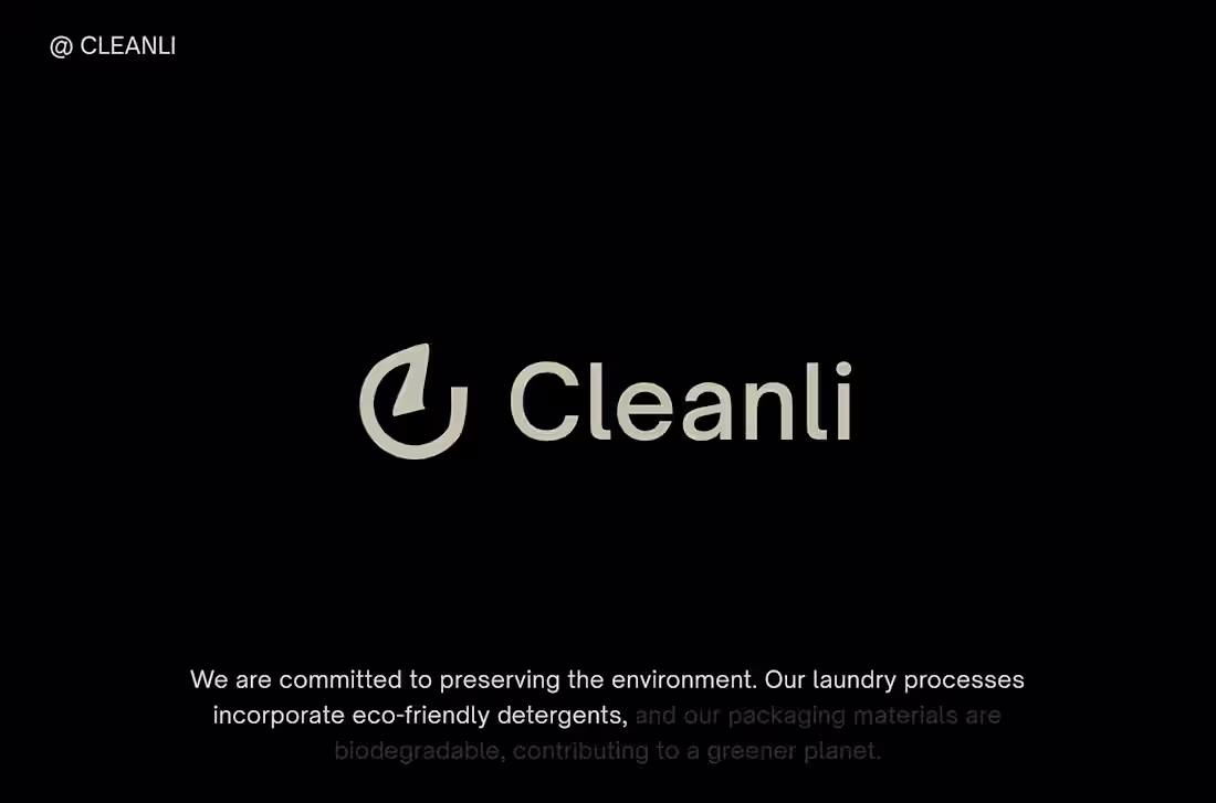 Cover image for Cleanli