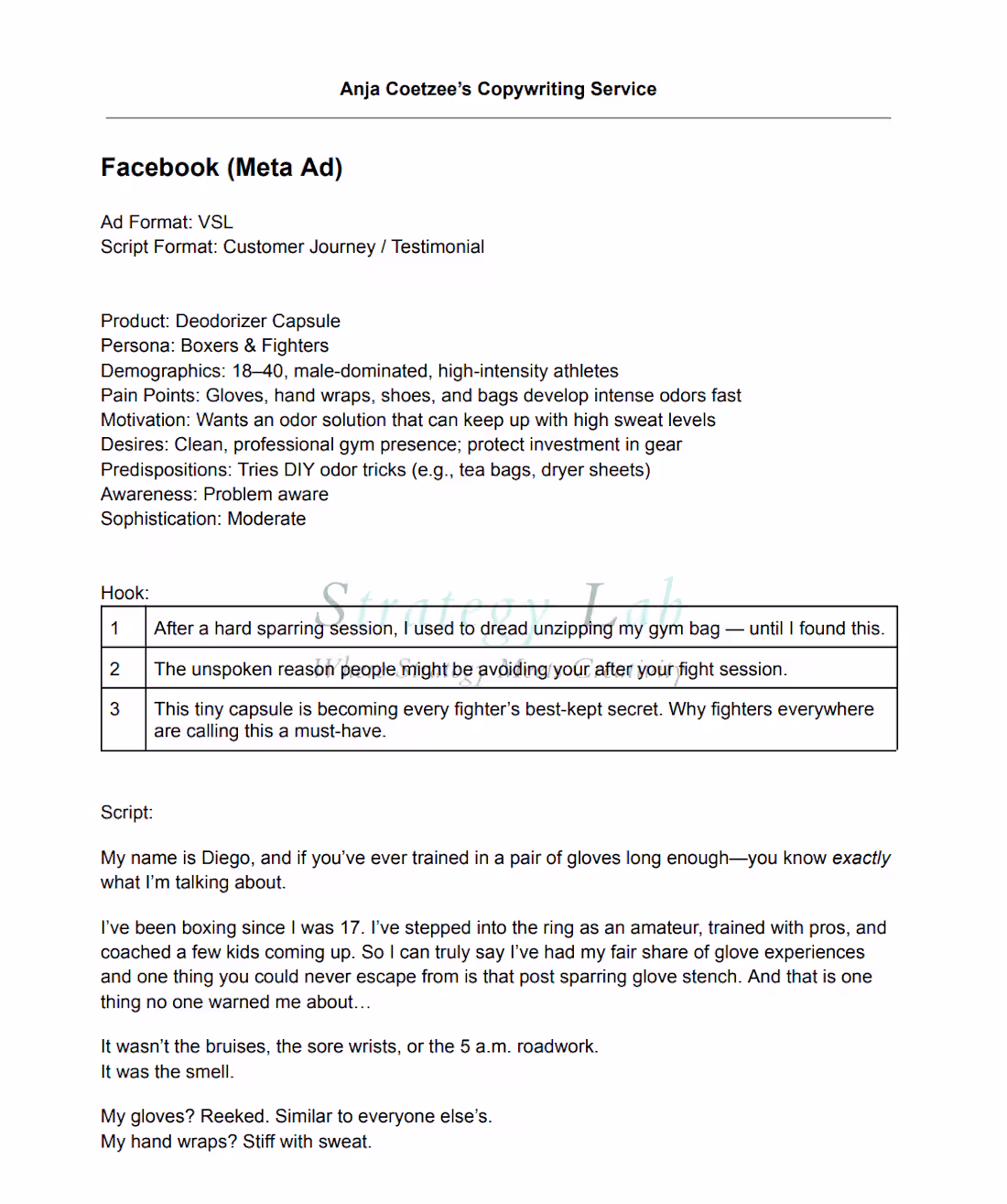 Cover image for Video Sales Letter Copywriting