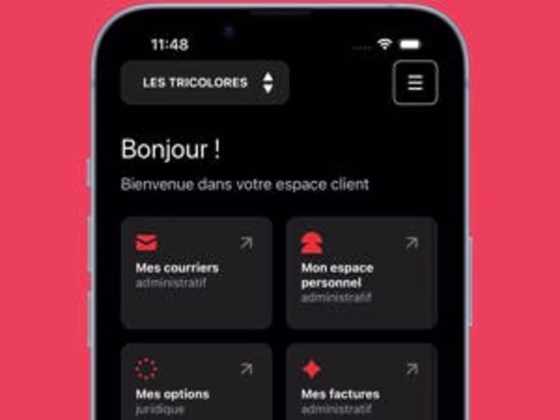 Cover image for Les Tricolores