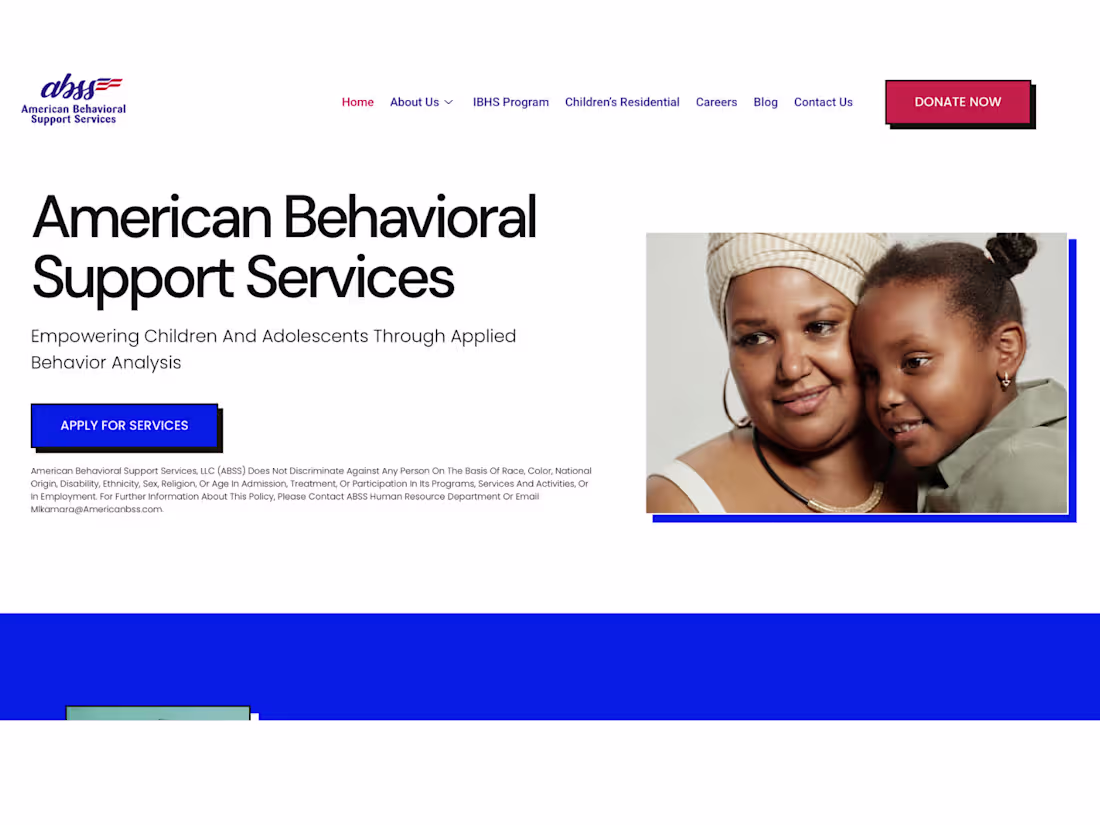 Cover image for American BSS