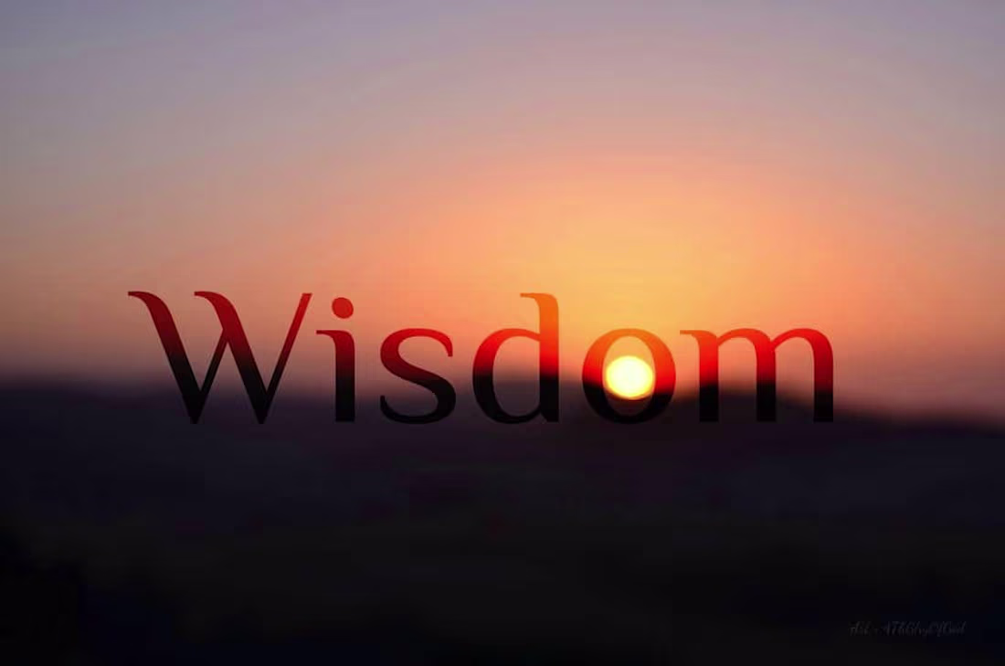 Cover image for How to become a wise sage