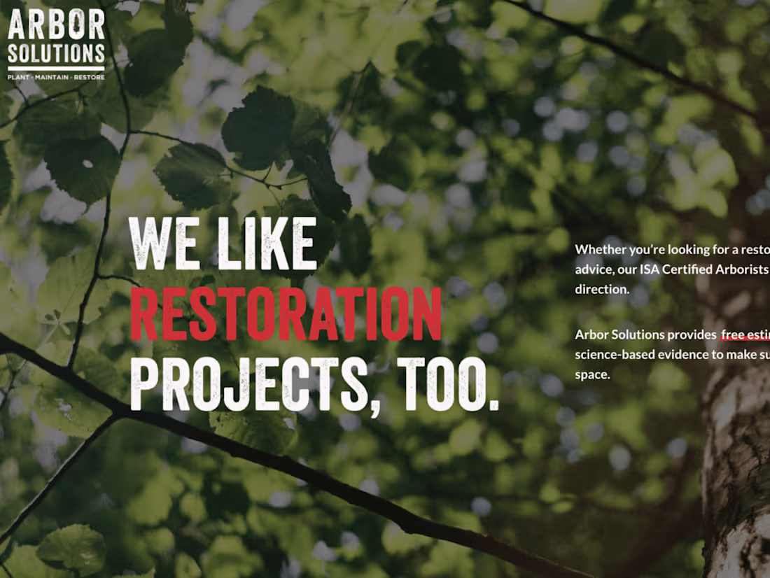 Cover image for Web Design + Copywriting