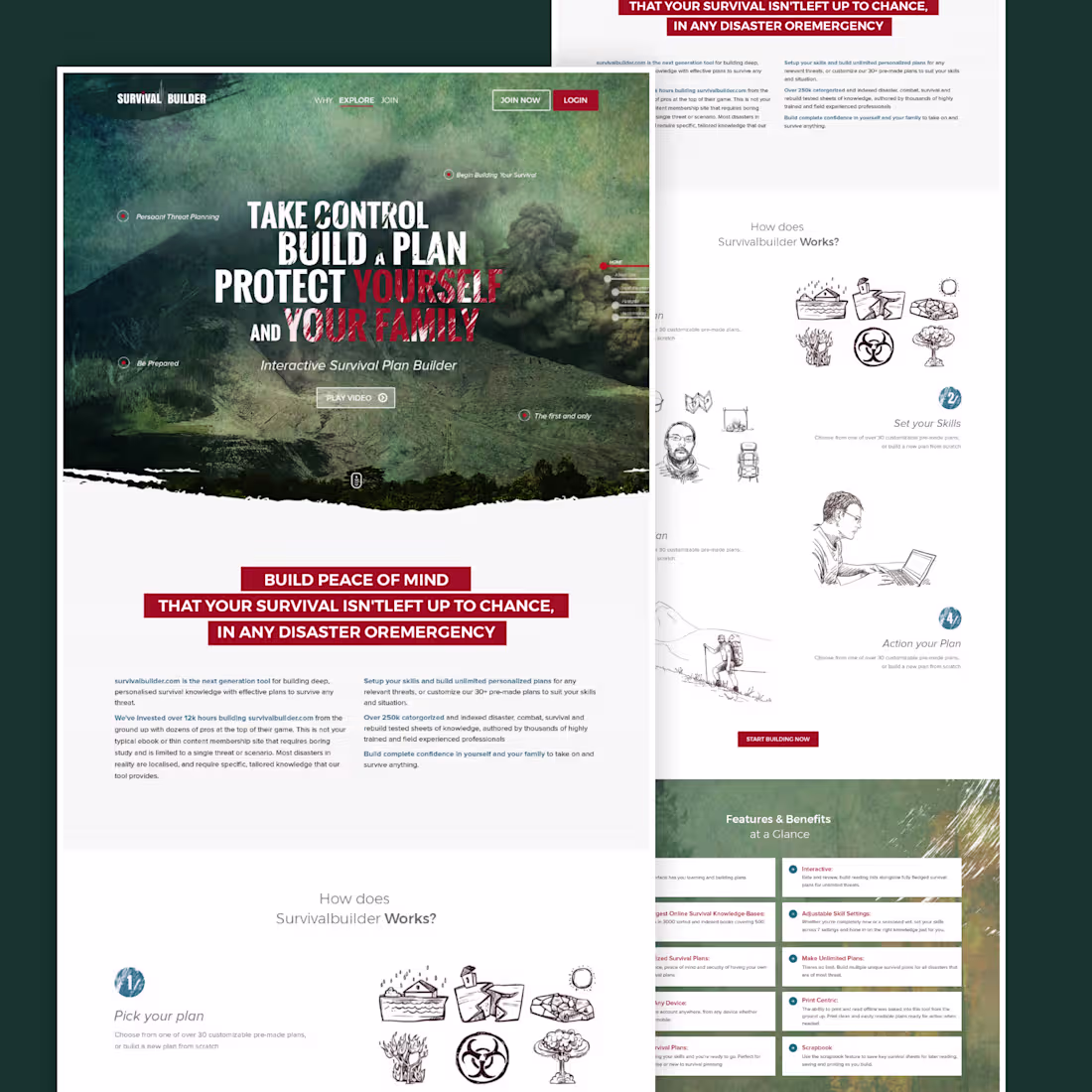Cover image for Client wanted a full revamp — so we delivered a custom web d...