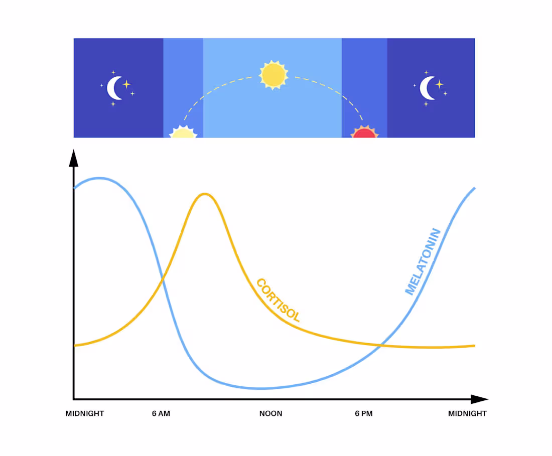 Cover image for Discover How Blue Light and Screen Time Impact Your Health
