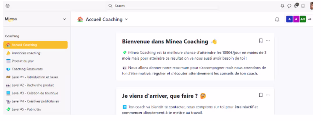 Cover image for Dropshipping Coaching and Mentorship
