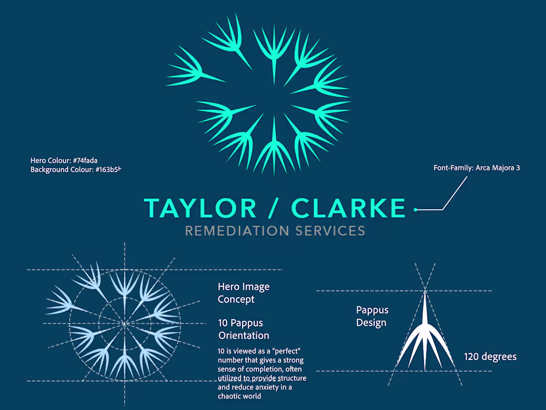 Cover image for Brand Development