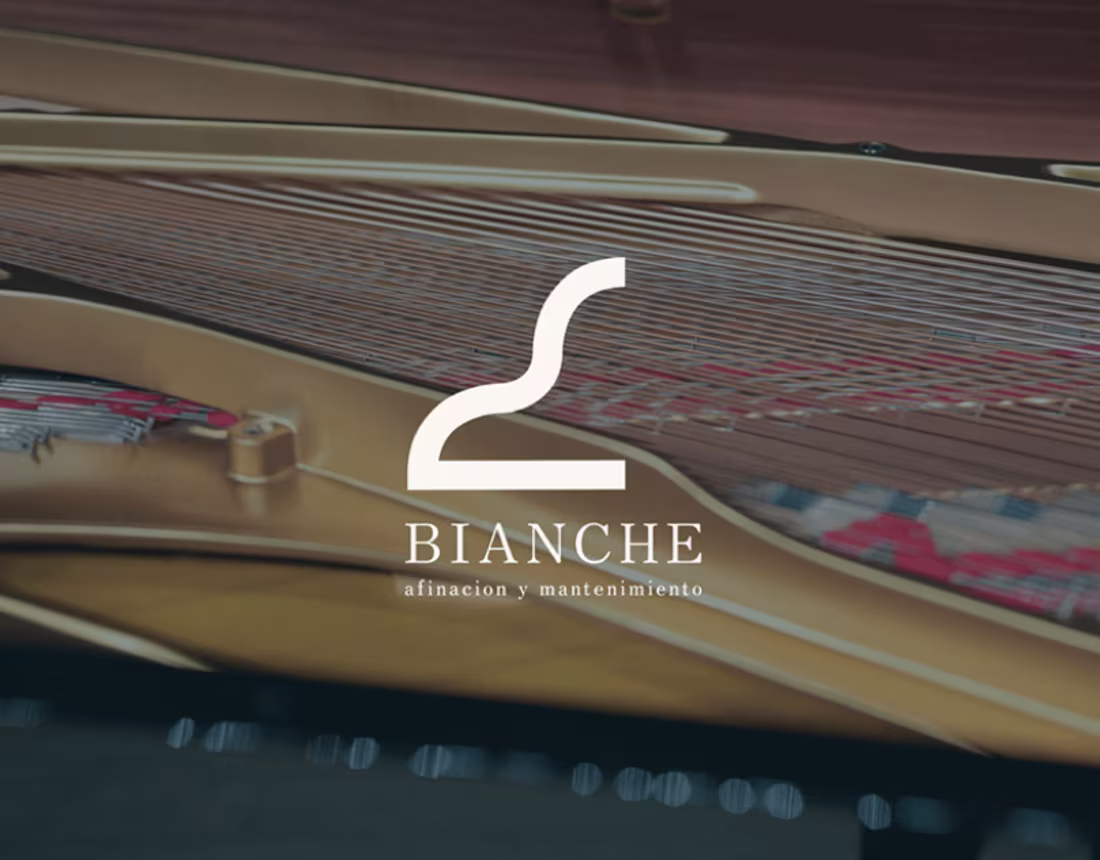 Cover image for bianche | logo design