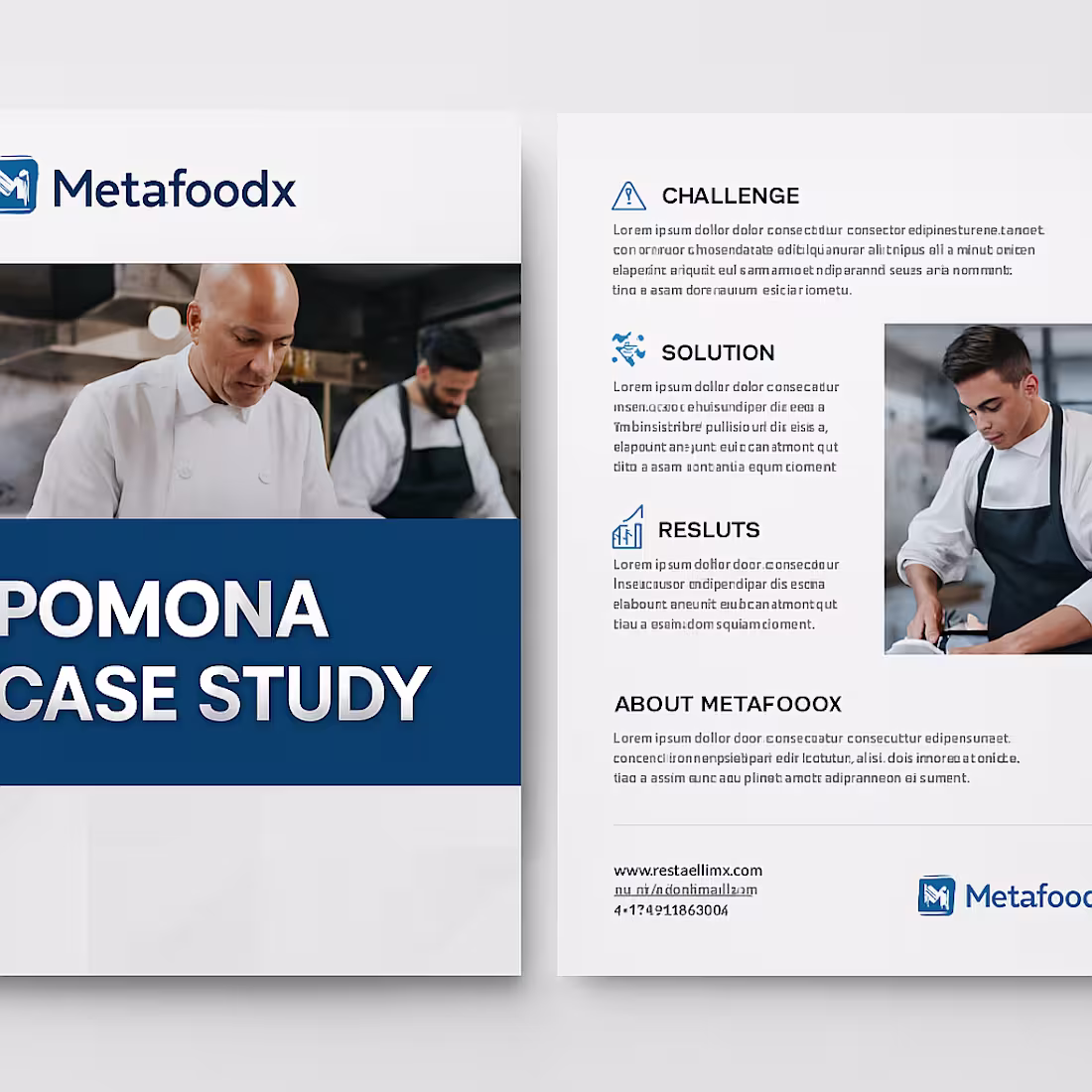 Cover image for I design professional case study brochures in PDF format, al...