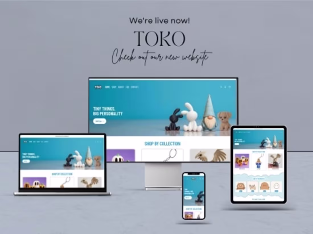 Cover image for TOKO E-Commerce Store Development