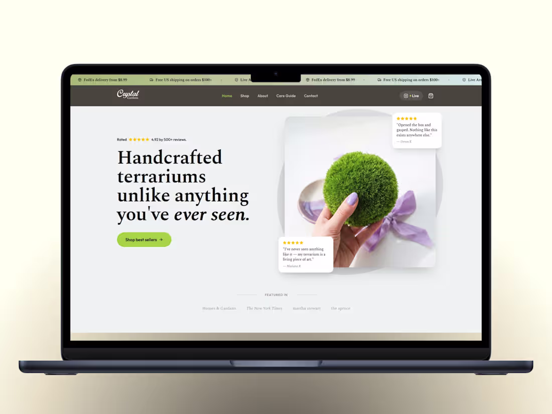 Cover image for Crystal Garden Terrariums — Brand