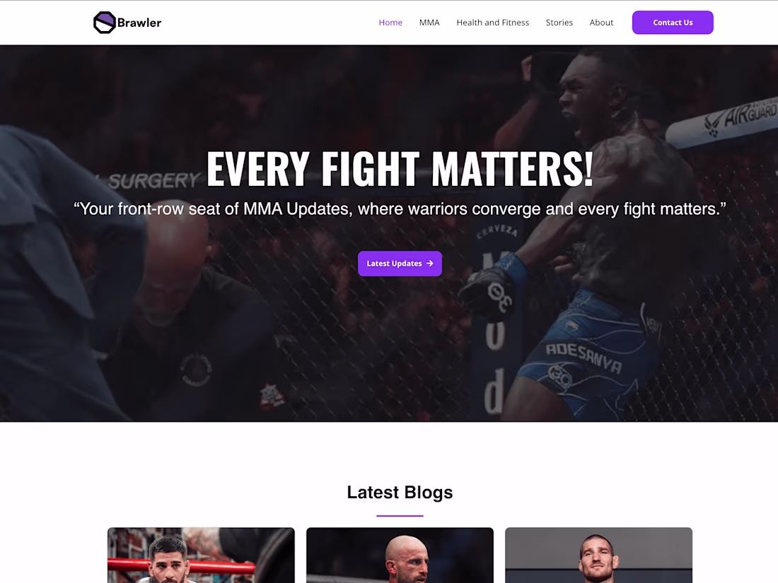 Cover image for Octagon Brawler: Wordpress Website building & SEO