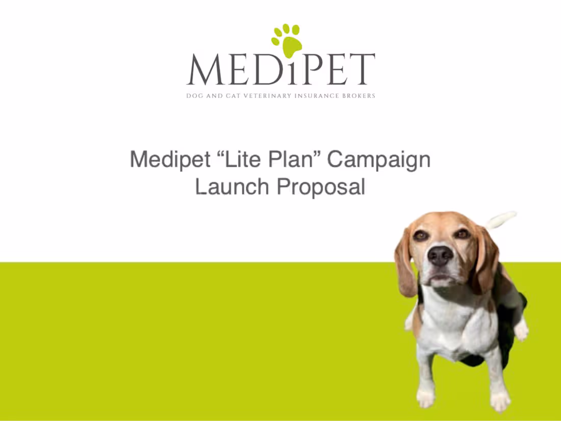 Cover image for MediPet Marketing Plan 