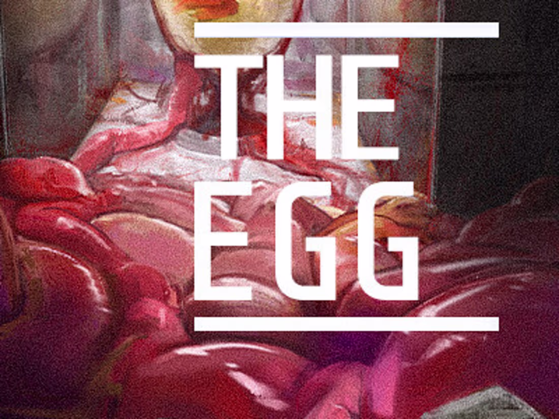 Cover image for THE EGG