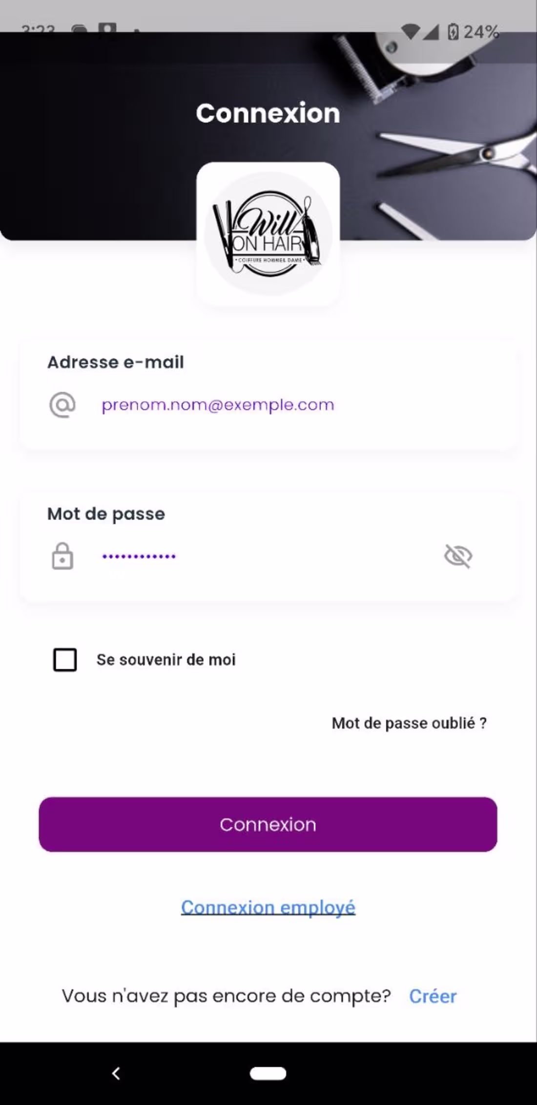 Cover image for Project Overview: WillOnHair is an integrated