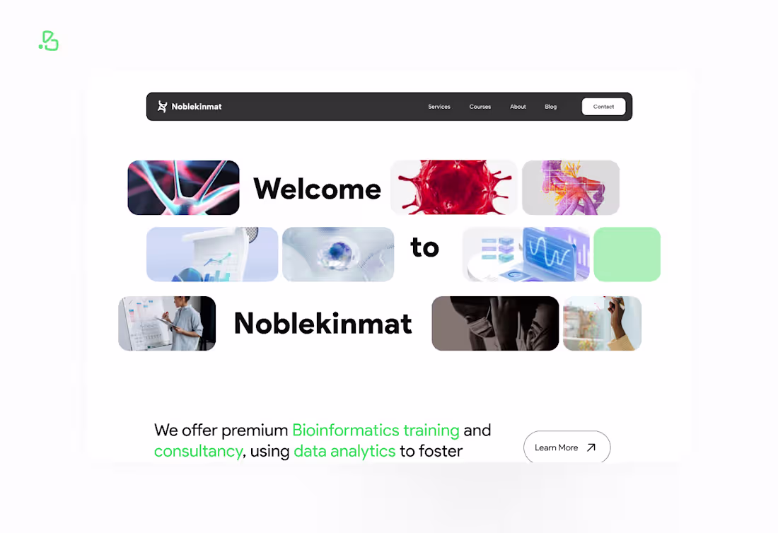Cover image for Noblekinmat