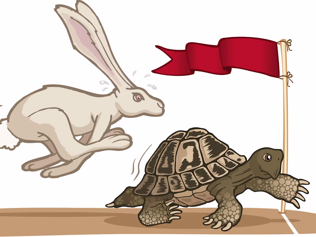 Cover image for SLOW & STEADY WINS THE RACE