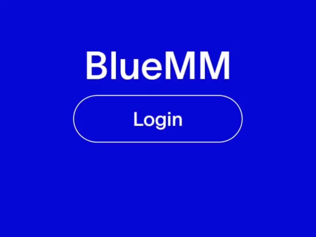 Cover image for SLB Blumm