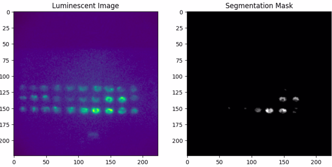 Cover image for Computational Analysis of Drug Efficacy in Murine Models