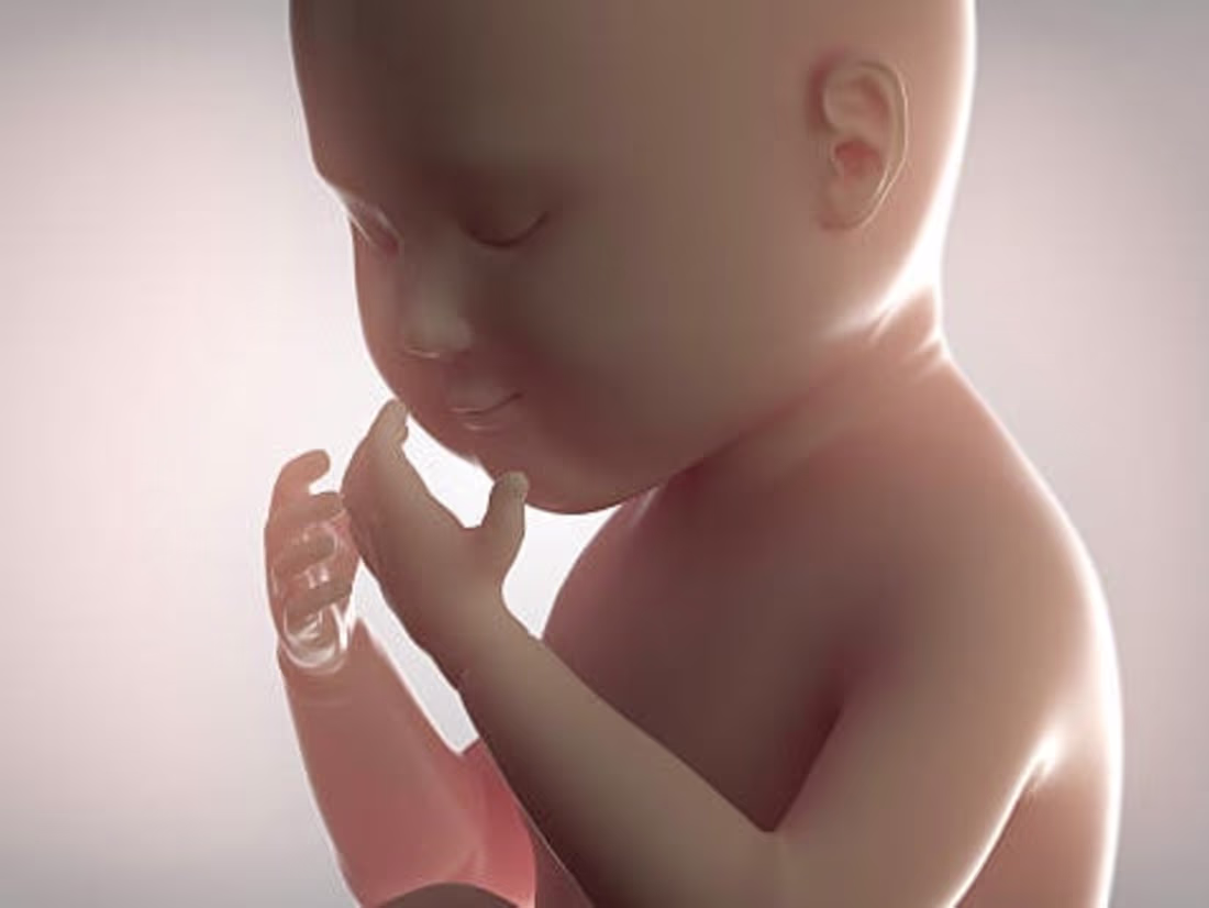 Cover image for 4D Ultrasound Scan - Explained