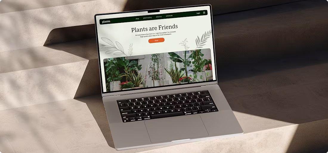 Cover image for Plante is one of Hungary's
