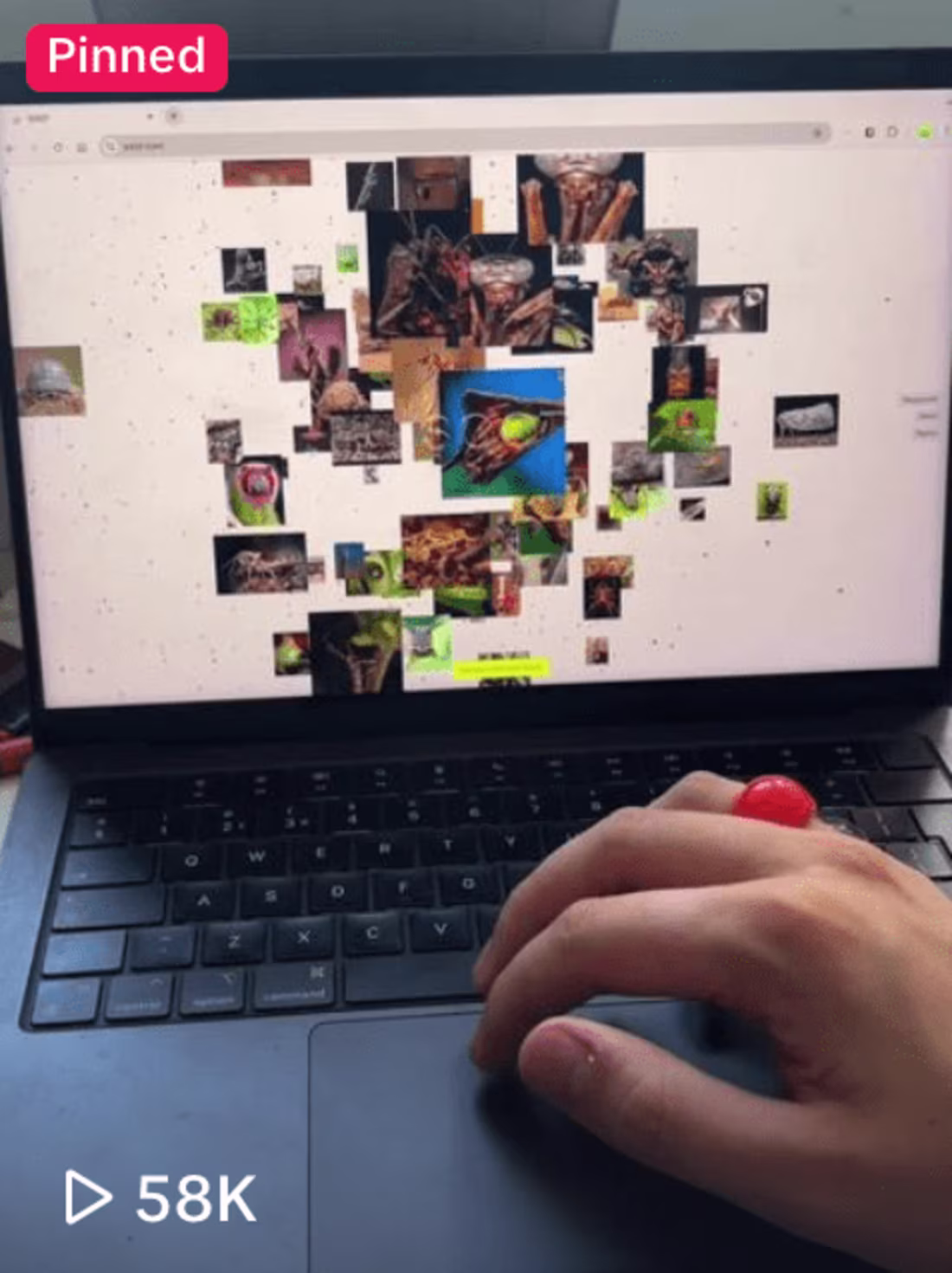 Cover image for SOOT - TikTok Social Media Strategy