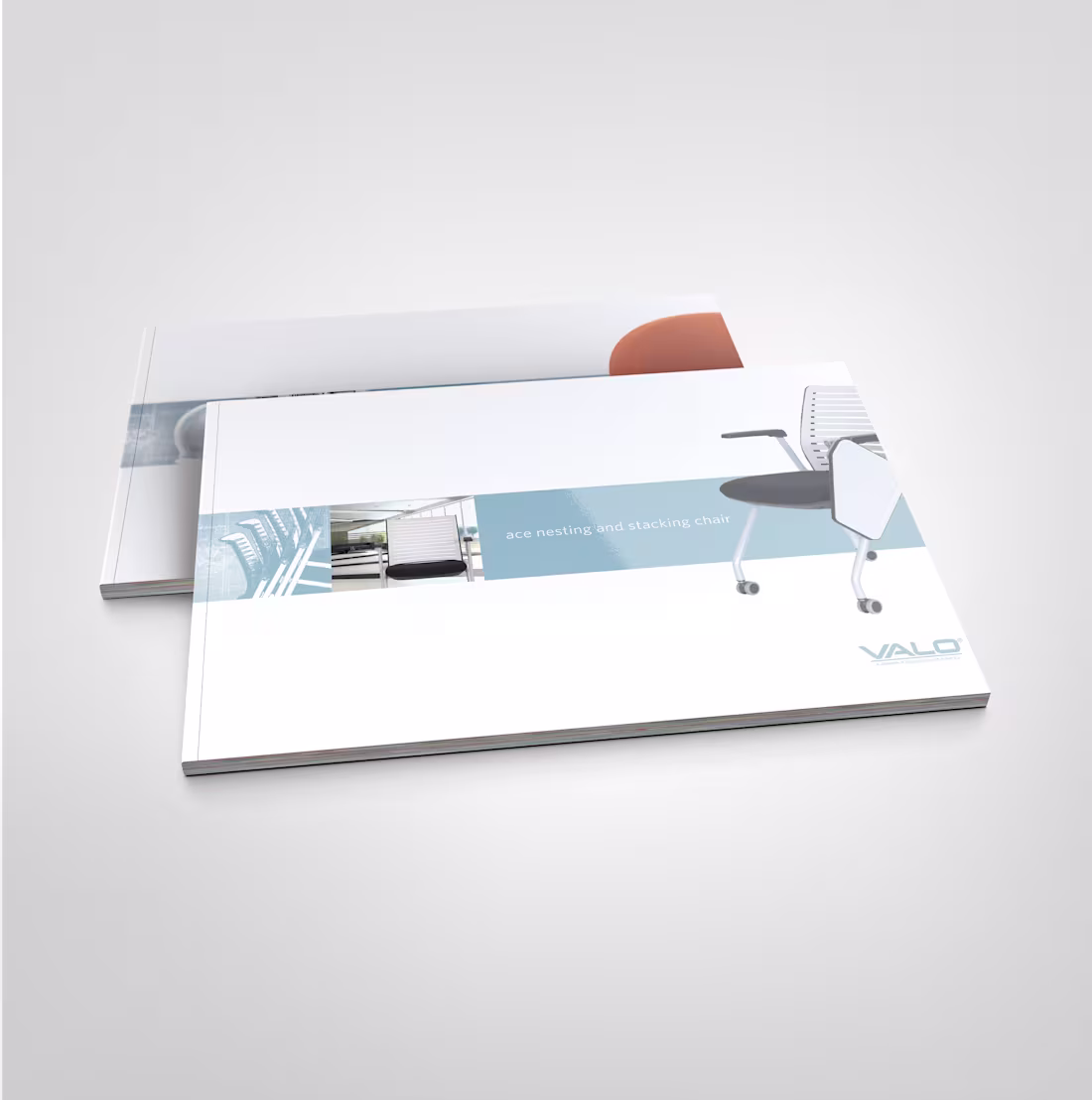 Cover image for Valo Printed Program