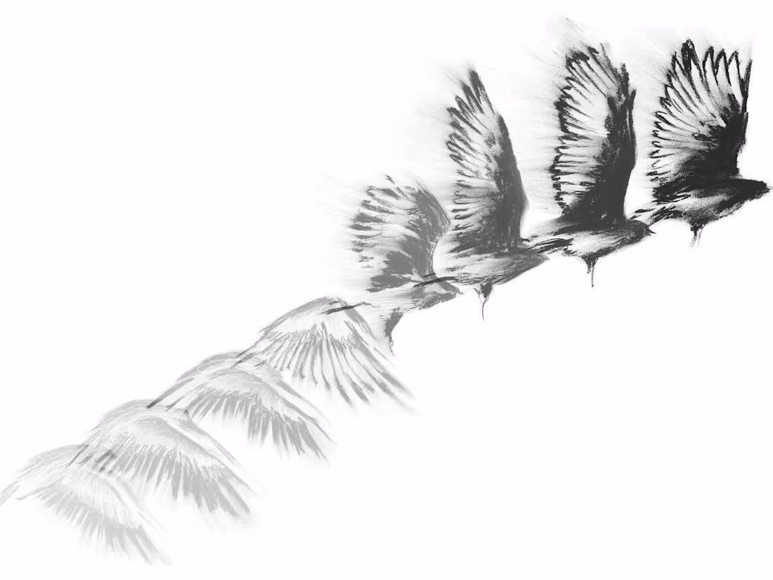 Cover image for Sketches — sreavic
