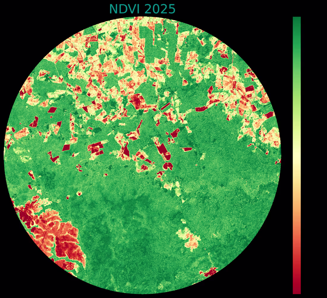 Cover image for Deforestation Monitoring 