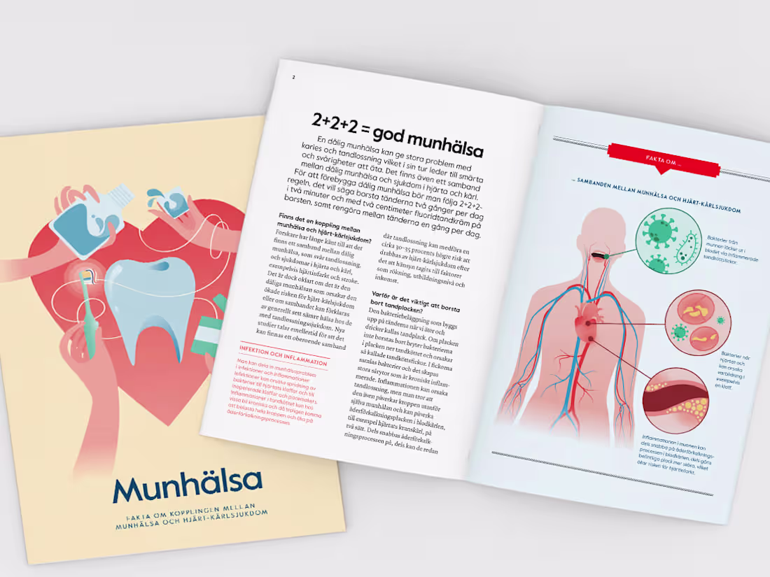 Cover image for Folder: Brush for the heart