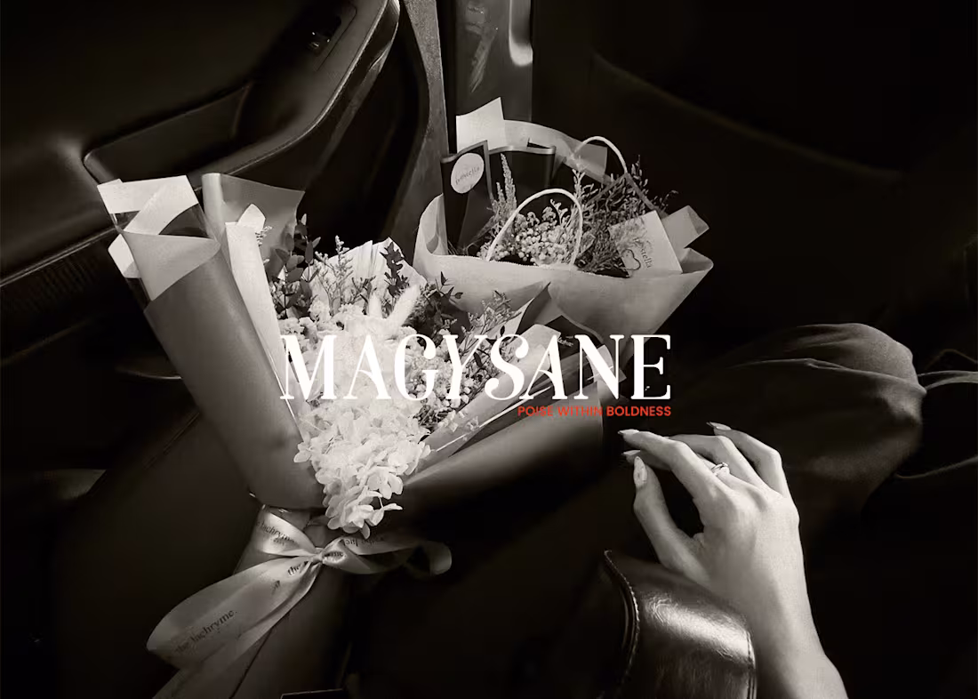 Cover image for Magysane: Brand Identity