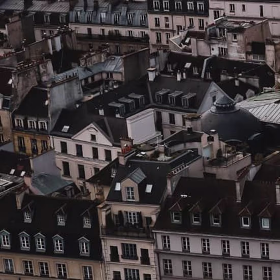 Cover image for Transforming the urban scenery 