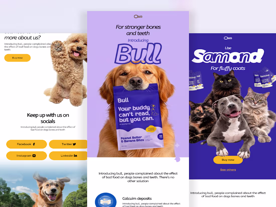 Cover image for Pet Nutrition Product Launch Email 