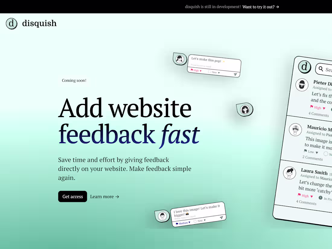 Cover image for Disquish Landing Page Development