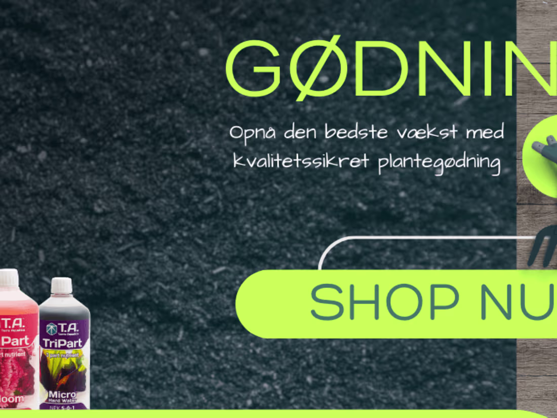 Cover image for Creative Design Direction for Marketing Campaign