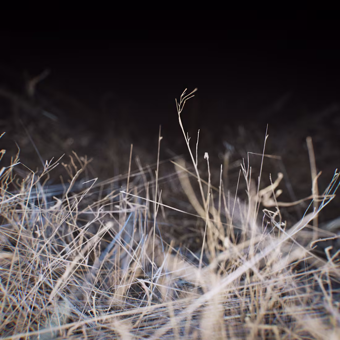 Cover image for Oat M - Off Season EP Cover Design