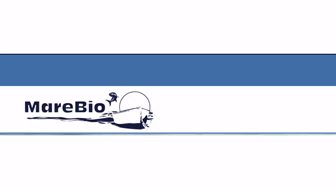 Cover image for Mare Bio