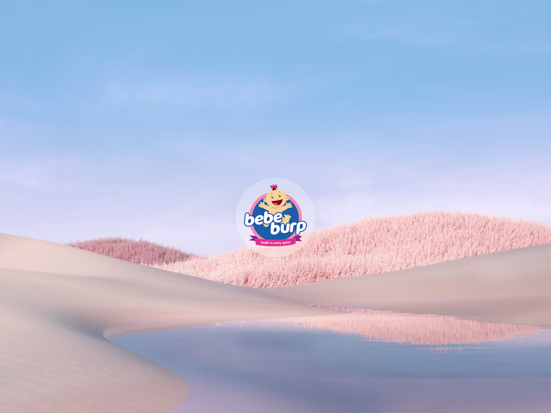 Cover image for Visual Designer at Bebeburp