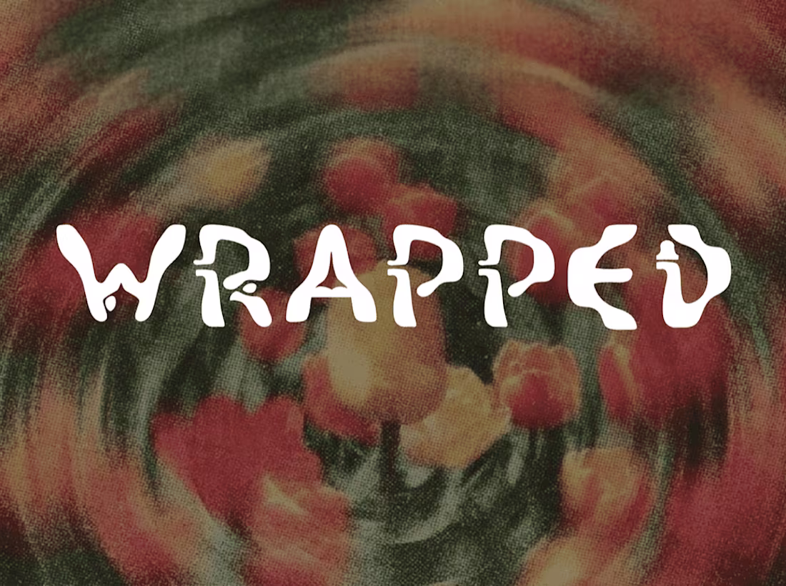 Cover image for Wrapped Typeface