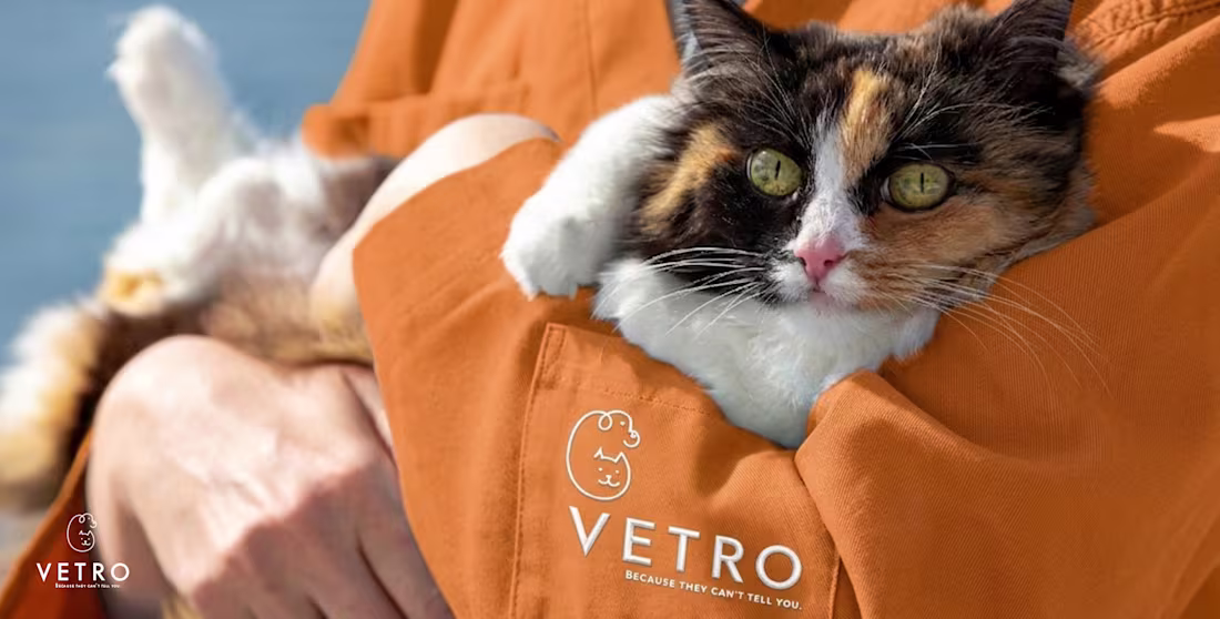 Cover image for Most vet clinics look like