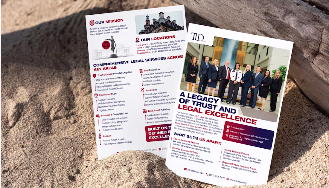 Cover image for TLD Law Flyer Design Project
