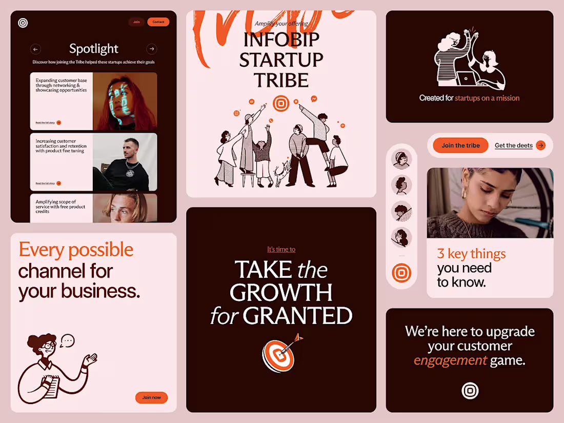 Cover image for This brand identity project was