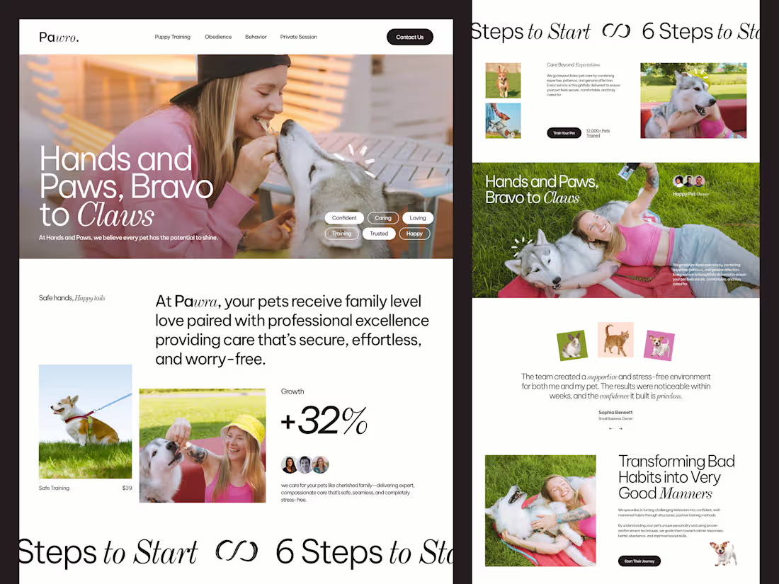 Cover image for Pawro – Pet Training Website