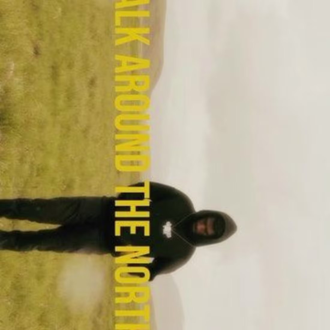 Cover image for Lets take a walk.
