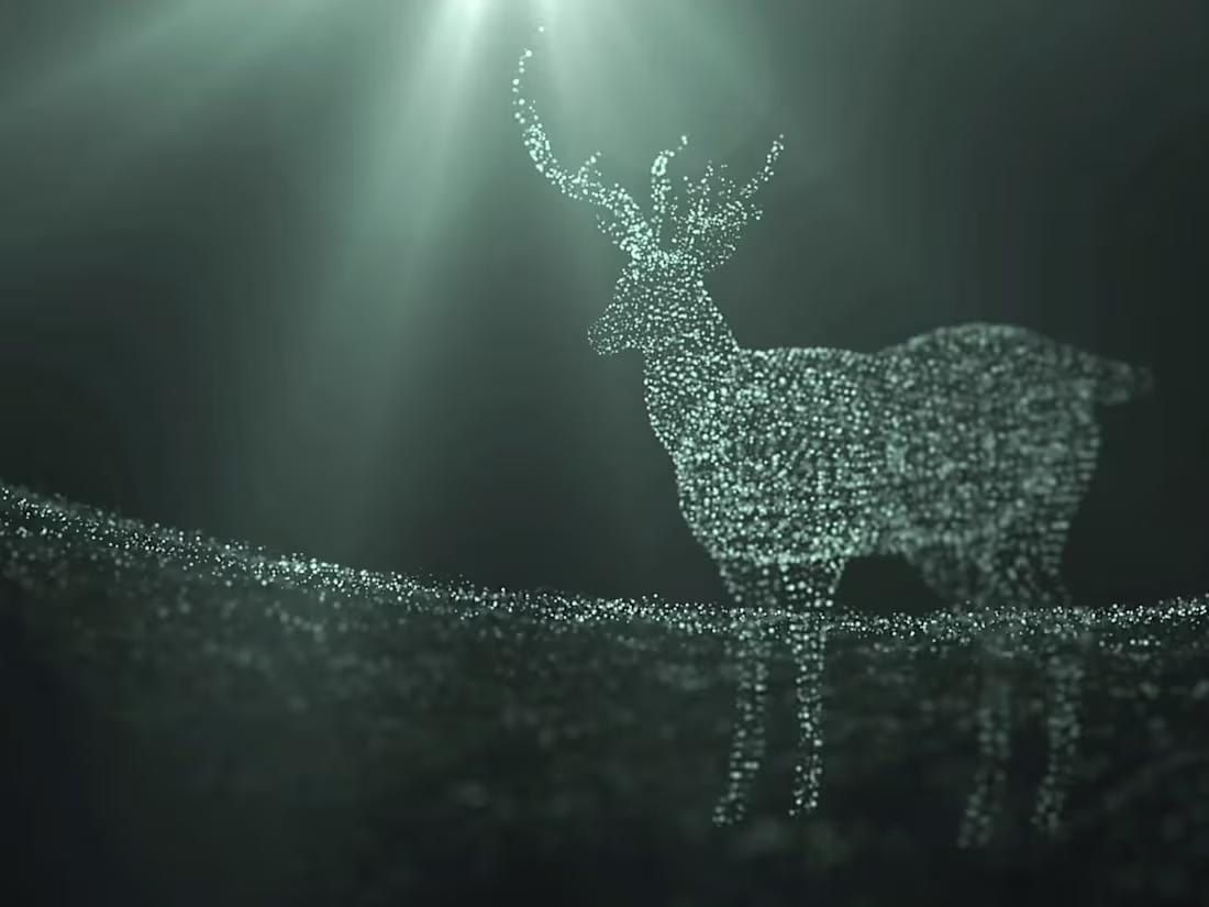 Cover image for Motion Graphics Campaigns