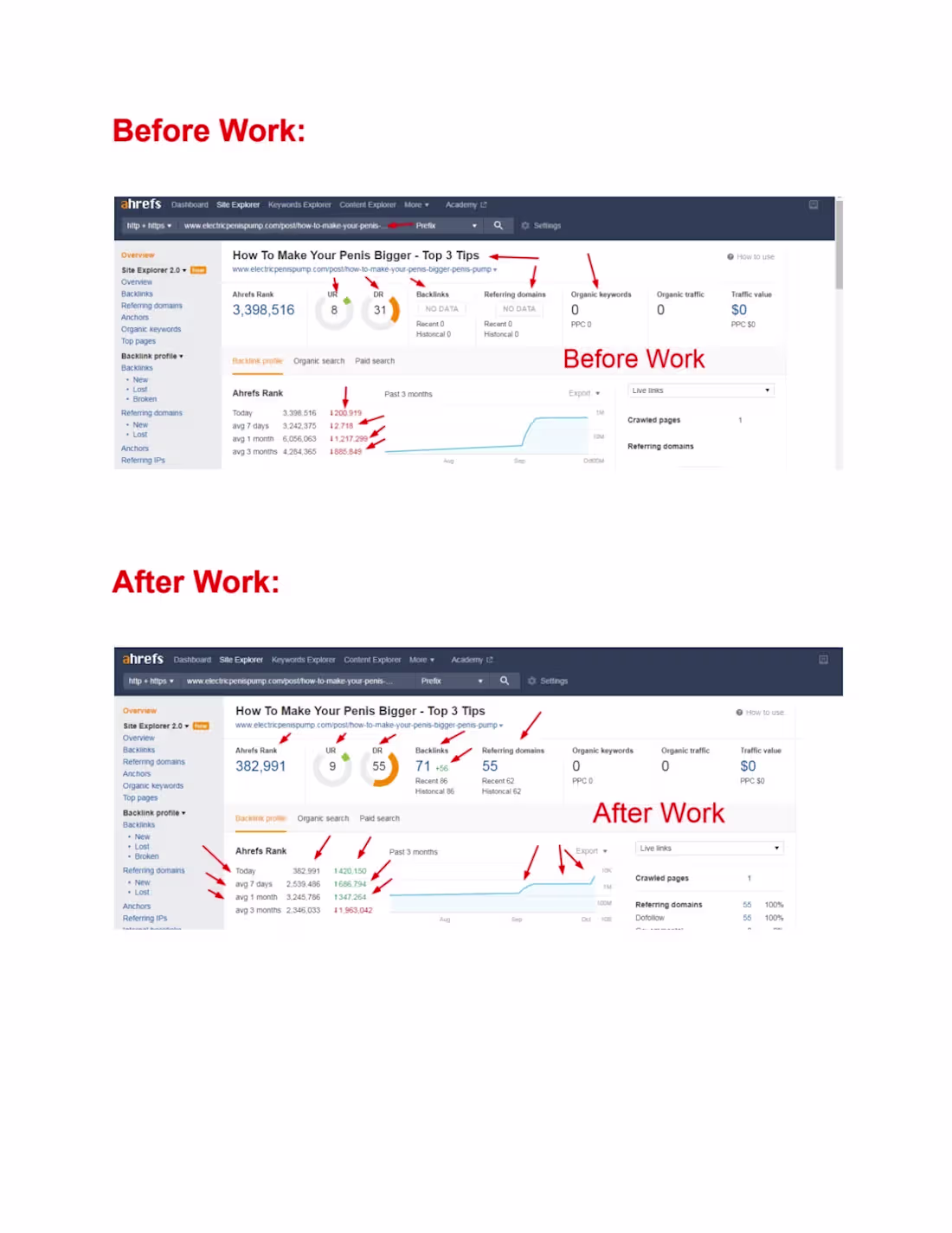 Cover image for Rank Higher, Thrive Faster: Full-Spectrum SEO Solutions