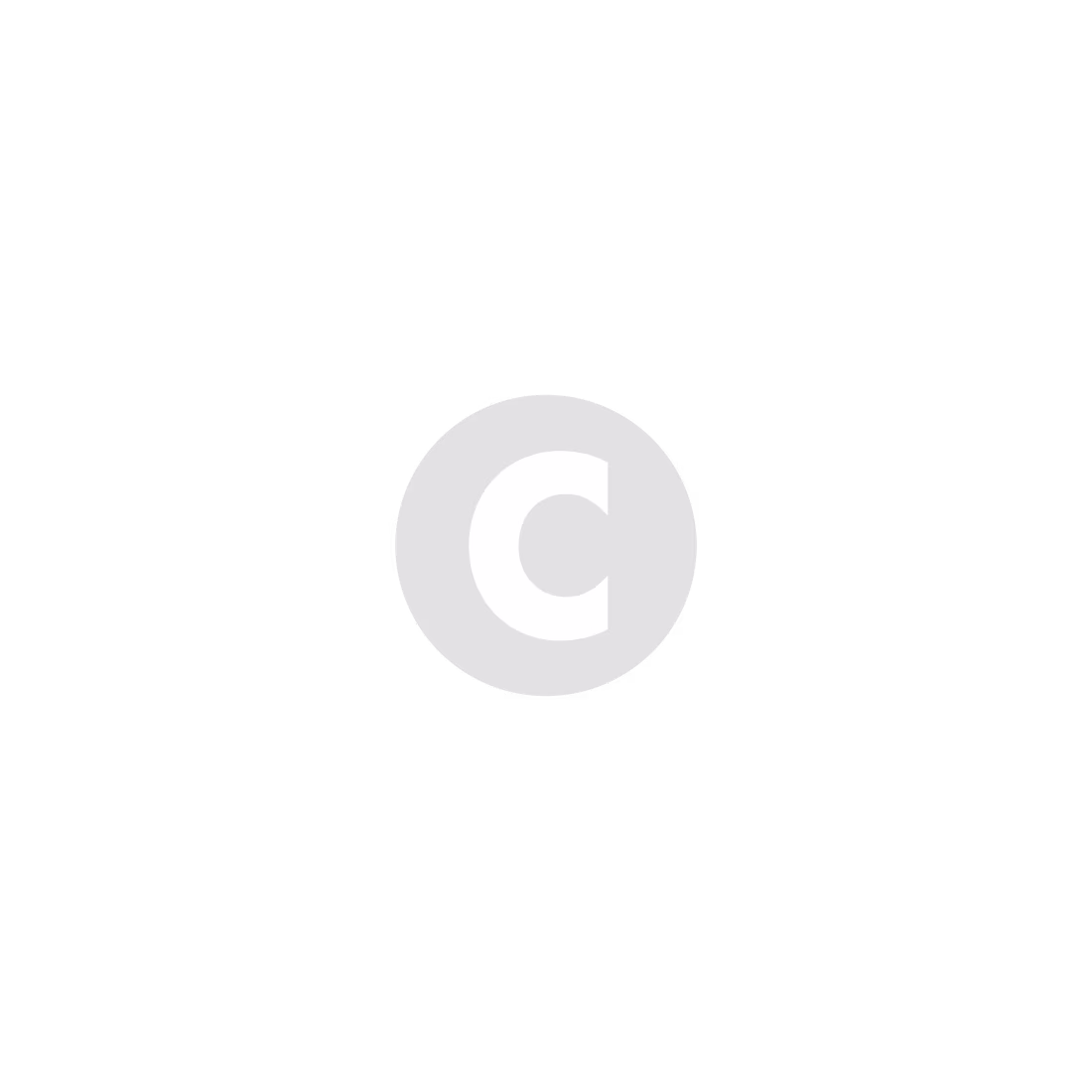 Cover image for canvas champ