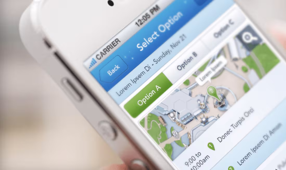 Cover image for A magical theme park app