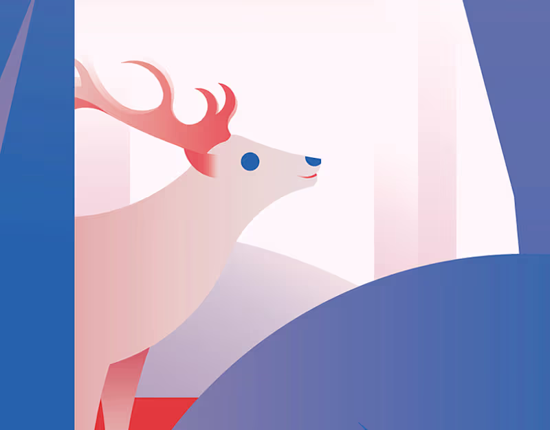 Cover image for Forest - Interactive Quiz for Children